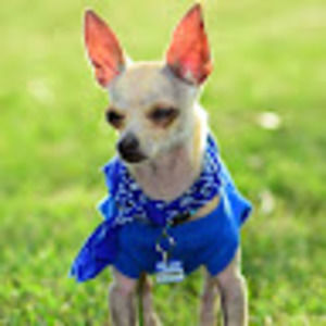 Meet your Posher, Wan & paulina